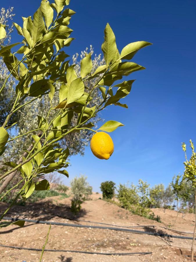 ללה טקרקוסט Laho Lodge מראה חיצוני תמונה